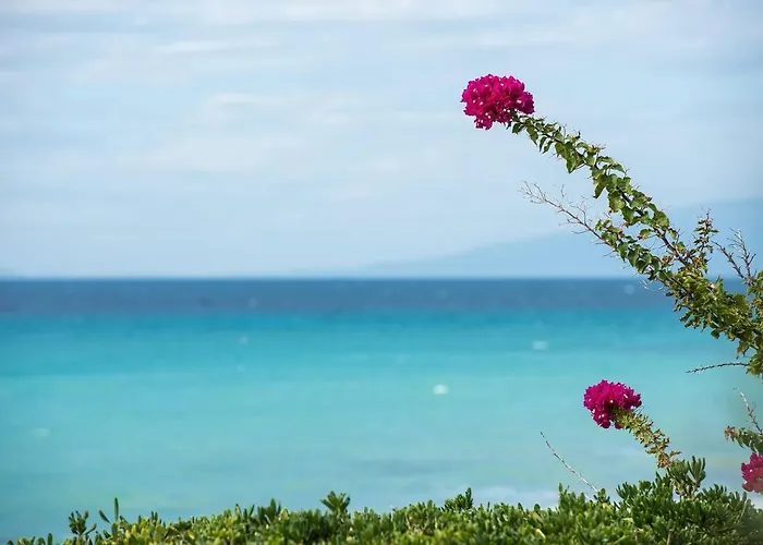 Villa Azure Coast Seafront Retreat Mola Kalyva