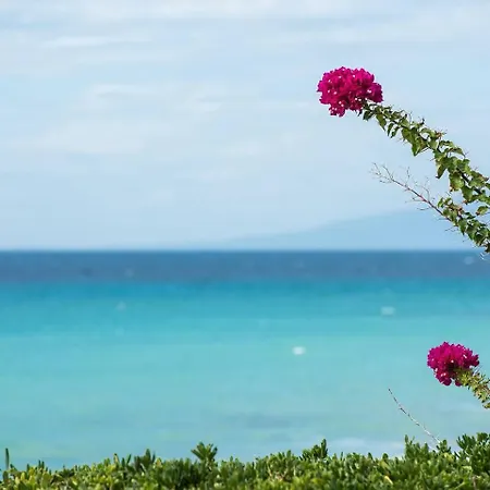 Villa Azure Coast Seafront Retreat Mola Kalyva